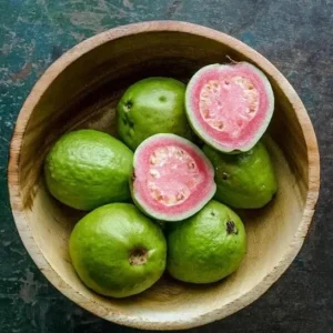 Pink Guava Live Plant – Tropical Fruit Tree Seedling – 4 Inch Pot – Indoor/Outdoor - Image 5