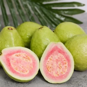 Pink Guava Live Plants - Set of 3 Seedlings in 4 Inch Pots - Tropical Fruit Tree - Image 5