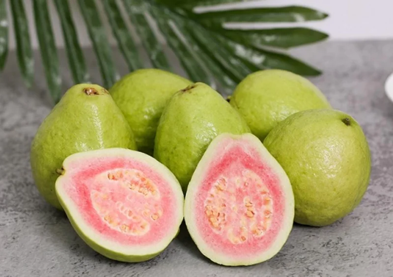 Pink Guava Live Plants - Set of 3 Seedlings in 4 Inch Pots - Tropical Fruit Tree - Image 5