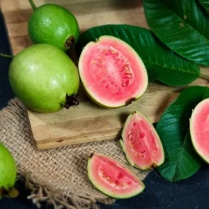 Pink Guava Tree Live Plant - Sweet Fruit, 6-8 Inch Tall in 4 Inch Pot for Outdoor Garden - Image 6