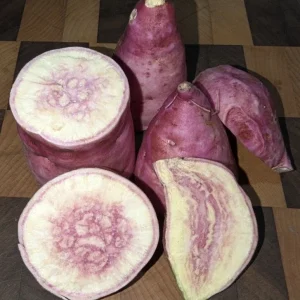 Pink Korea Sweet Potato Slips - 10 Live Cuttings for Planting Outdoor - Image 8