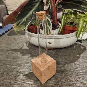 Propagation Station for Plant Cuttings - Hydroponic Gardening Vase - Image 2