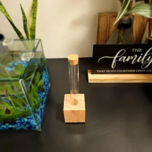 Propagation Station for Plant Cuttings - Hydroponic Gardening Vase - Image 5