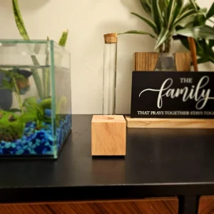 Propagation Station for Plant Cuttings - Hydroponic Gardening Vase - Image 1