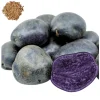 Purple Majesty Potato Seeds – 60 True Potato Seeds – Heirloom Vegetable Seeds - Image 1