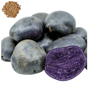 Purple Majesty Potato Seeds – 60 True Potato Seeds – Heirloom Vegetable Seeds - Image 1