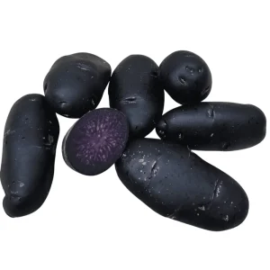 Purple Majesty Potato Seeds – 60 True Potato Seeds – Heirloom Vegetable Seeds - Image 4