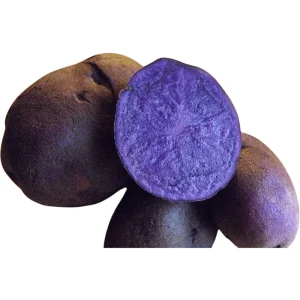 Purple Majesty Potato Seeds – 60 True Potato Seeds – Heirloom Vegetable Seeds - Image 6