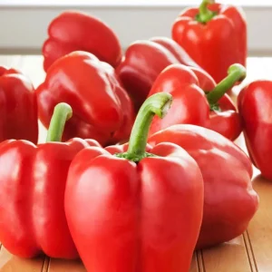 Red Bell Pepper Live Plant - Sweet Chili Pepper, 2 Plants, 3-5 Inch Tall - Image 7