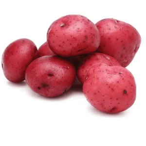 Red Potato Seeds - Heirloom Vegetable Seeds for Growing, 60 True Potato Seeds - Image 4