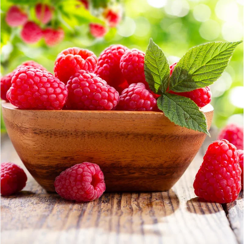 Red Raspberry Live Plant - Everbearing Bush, 5-10 Inch Tall, Sweet Berries Fruit Tree - Image 2