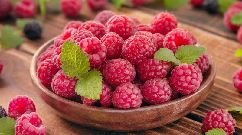 Red Raspberry Live Plant - Set of 2 - 5 inch Tall Sweet Berry Bush for Garden - Image 4