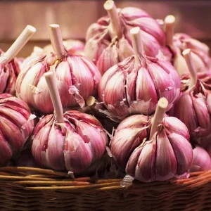 Red Russian Garlic Bulbs for Planting – Hardneck Garlic – 8 Bulbs – Outdoor - Image 8