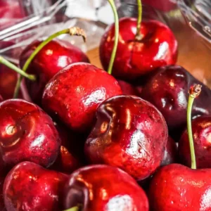 Red Sweet Bush Cherry Live Plant – 6-12 Inches Tall – Outdoor Shrub - Image 1