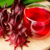 Roselle Seeds (25+ Count) - Asian Sour Leaf, Red Sorrel, Florida Cranberry, Jamaican Tea - Image 1