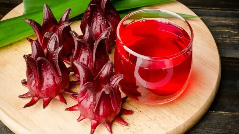 Roselle Seeds (25+ Count) - Asian Sour Leaf, Red Sorrel, Florida Cranberry, Jamaican Tea - Image 1