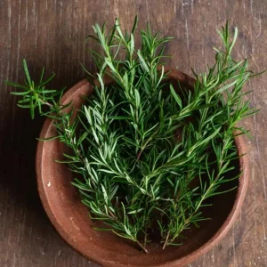 Rosemary Live Plant – 10-inch Tall Culinary Herb in 4-inch Pot – Outdoor - Image 6