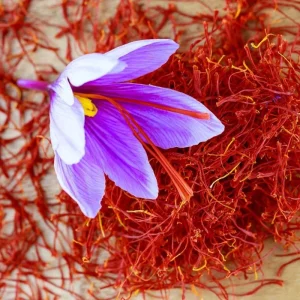 Saffron Autumn Crocus Seeds (Crocus sativus) - 50 Seeds - Fall Blooming Purple - Image 2