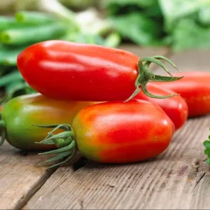 San Marzano Tomato Plant Live, 4-8 Inch Tall, 2 Plants in Pot, Vegetable for Planting - Image 3