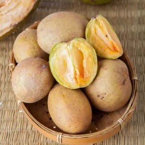 Sapodilla Live Plant – Tropical Sapote Tree Seedling, 6-10 Inches Tall, Outdoor - Image 5