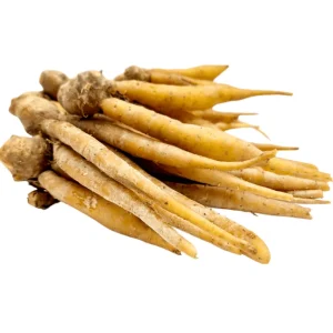 Set of 2 Finger Root Live Plants (Krachai Ginger), 4-8 Inch Tall, No Pot - Image 1