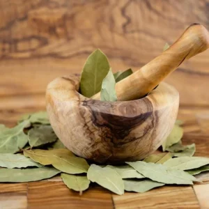 Set of 3 Bay Leaf Live Plants – Bay Laurel (Laurus nobilis) Culinary Herb, 8-10 Inch Tall, 3 Inch Pot - Image 6