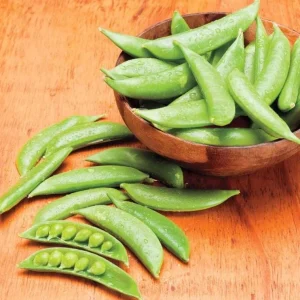 Snap Pea Live Plant - Sweet Edible Pods, 3-5 Inch Tall, 2 Plants - Image 5