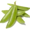 Snap Pea Live Plant - Sweet Edible Pods, 3-5 Inch Tall, 2 Plants - Image 1