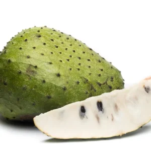 Soursop Tree Live Plant – Guanabana Fruit Tree for Garden – 8-10 Inch Tall - Image 2