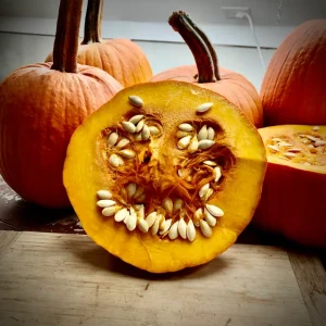 Sugar Pie Pumpkin Live Plant - Heirloom Vegetable, 3-5 Inch Tall, 4 Inch Pot - Image 7