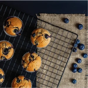 Sunshine Blueberry Live Starter Plants - Set of 2, Compact Bush, 4-8 Inch Tall - Image 6