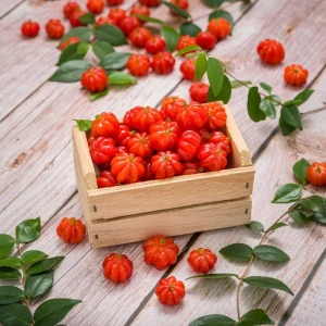 Surinam Cherry Live Plant – Edible Fruit Tree – 5 to 8 Inches Tall - Image 5