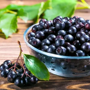 Sweet Black Huckleberry Live Plant, 4-7 Inch Tall, 4 Inch Pot, Outdoor - Image 6