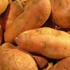 Sweet Potato Seed for Planting - USDA Certified 113g - Annual Bulb 2025 - Image 1