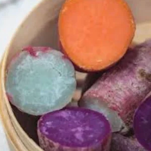 Sweet Potato Slips Variety Pack - 15 Live Cuttings (Red, Murasaki, Purple) for Home Garden - Image 1