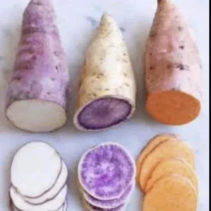 Sweet Potato Slips Variety Pack - 15 Live Cuttings (Red Japanese, Okinawa, Beauregard) - Outdoor - Image 1