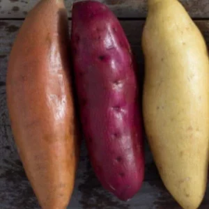 Sweet Potato Slips Variety Pack - 15 Live Slips (Beauregard, Japanese White, Purple) - Image 5