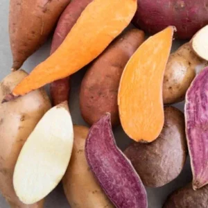 Sweet Potato Slips Variety Pack - 15 Live Slips (Beauregard, Japanese White, Purple) - Image 6