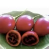 Tamarillo Tree Tomato Live Plant – Solanum Betaceum – 5-8 Inch Tall – Outdoor Fruit Plant - Image 1