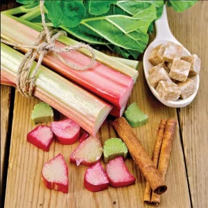 Victoria Rhubarb Roots - 10 Pack Live Bare Root Plant, 3-5 Inch Tall, Perennial for Garden - Image 6