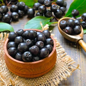 Viking Aronia Berry Live Plant, 6-12 Inches Tall, Chokeberry Shrub for Outdoor Planting - Image 2