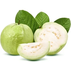 White Guava Tree Live Plant Psidium Guajava Sweet Fruit 4