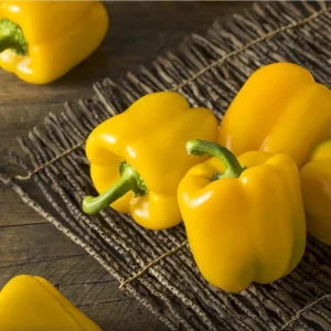 Yellow Bell Pepper Live Plant - 3-5 Inch Tall, 2 Plants for Garden - Image 5