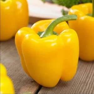 Yellow Bell Pepper Live Plant - 3-5 Inch Tall, 2 Plants for Garden - Image 7