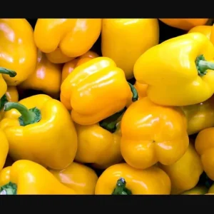 Yellow Bell Pepper Live Plant - 3-5 Inch Tall, 2 Plants for Garden - Image 9