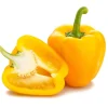 Yellow Bell Pepper Live Plant - 3-5 Inch Tall, 2 Plants for Garden - Image 1