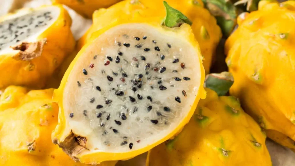 yellow dragon fruit