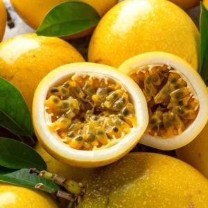 Yellow Passion Fruit Live Plant – Tropical Vine – 4 Inch Pot – 10-12 Inches Tall - Image 2