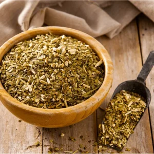 Yerba Mate Live Plant - Ilex Paraguariensis Starter, 5-9 Inch Tall, Tea Plant - Image 5