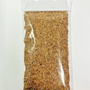 Zenith Zoysia Grass Seeds - 1 Ounce - Perennial Lawn Seed for Healthy, Low-Maintenance Turf - Indoor & Outdoor - Image 1